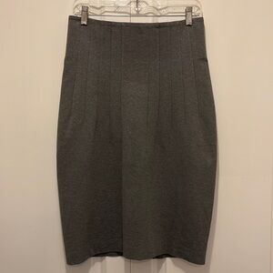 Gunex Gray Pencil Skirt with Vertical Seams at Waist